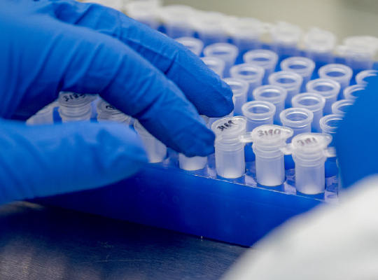 blue gloved hand with sample vials explore